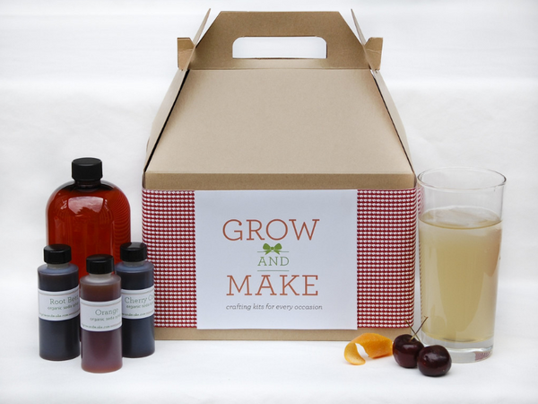 Artisan DIY Organic Soda Making Kit (ginger ale, root beer & cherry cola)