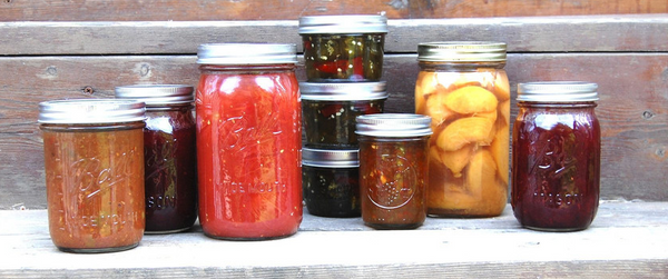 Artisan Canning and Pickling Kit